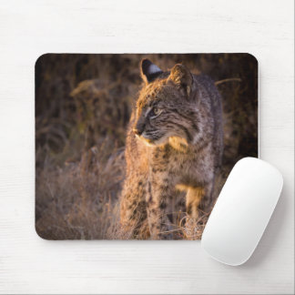 Tapis De Souris Bobcat Jouissant du Pad de la Souris Soleil du soi