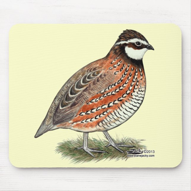 Tapis De Souris Bobwhite Quail (Devant)