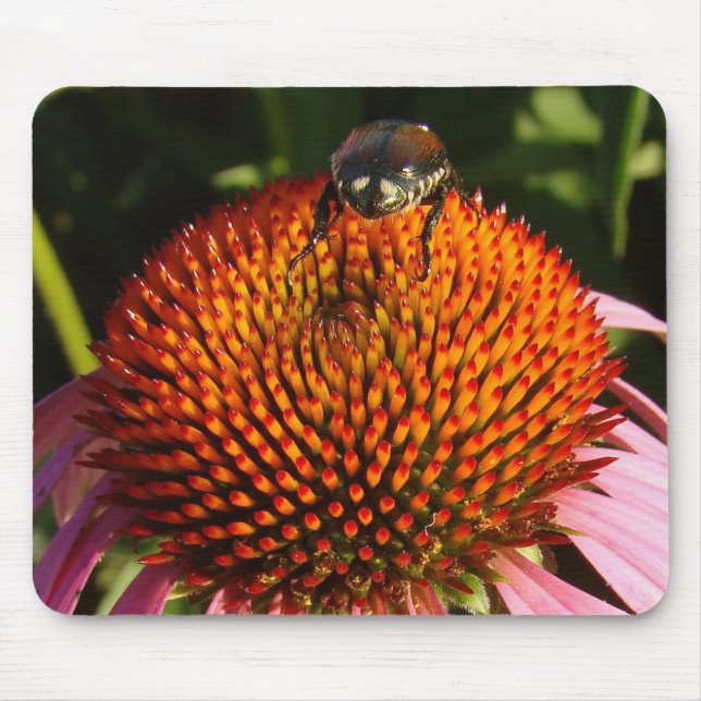 Tapis De Souris Bogue sur la fleur (Devant)