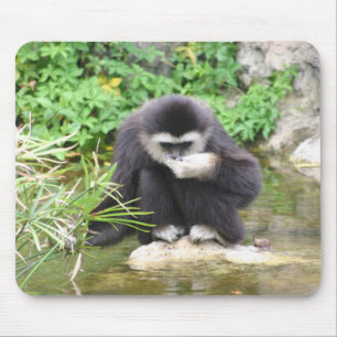 Tapis De Souris Boire de singe