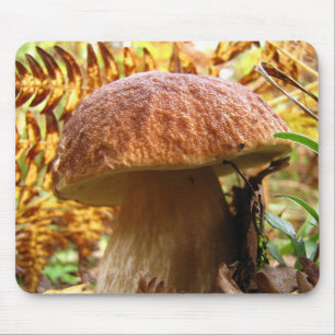 TAPIS DE SOURIS BOLETUS EDULIS