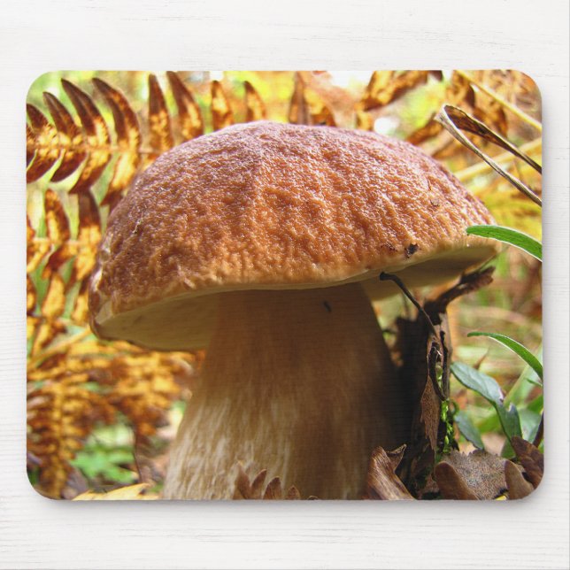 TAPIS DE SOURIS BOLETUS EDULIS (Devant)