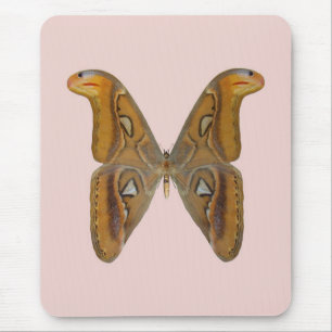 Tapis De Souris Bombyx atlas