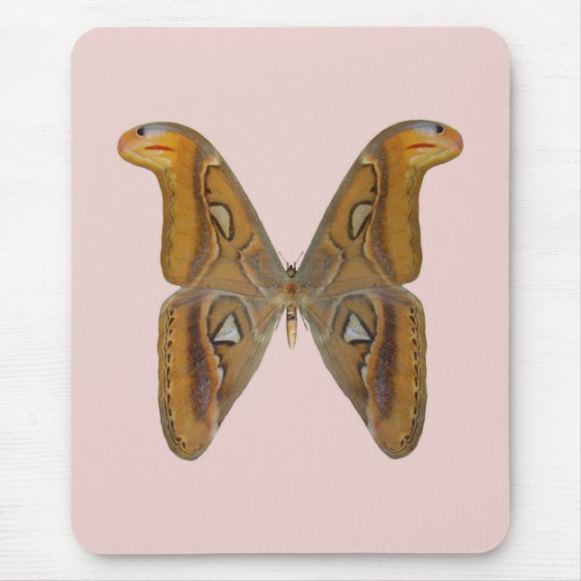 Tapis De Souris Bombyx atlas (Devant)