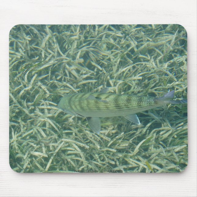 Tapis De Souris Bonefish de produit de queue (Devant)