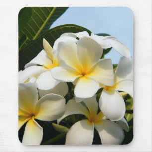 Tapis De Souris Bonheur de Frangipani