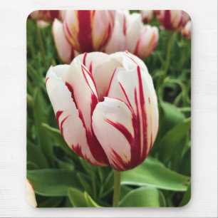Tapis De Souris Bonne Génération Tulip, Oregon