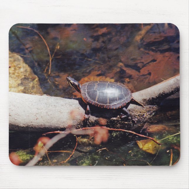 Tapis De Souris Bonne tortue (Devant)
