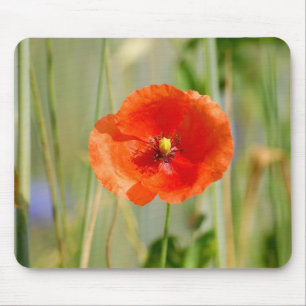 Tapis De Souris Bord de champ d'un champ de maïs avec des coquelic