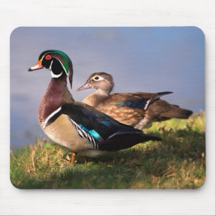 Tapis De Souris Bord de lac, Canard branchu