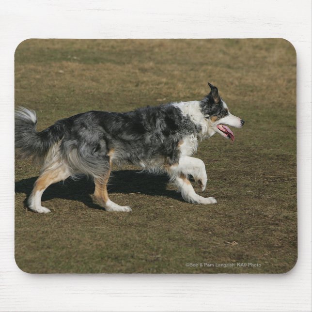 Tapis De Souris Border collie courant 1 (Devant)