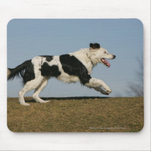 Tapis De Souris Border collie courant 2