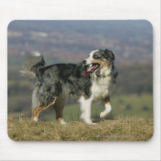 Tapis De Souris Border collie haletant 2