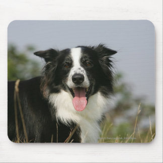 Tapis De Souris Border collie haletant le Headshot 1