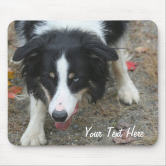 Tapis De Souris Border Collie Stare Dog Mousepad