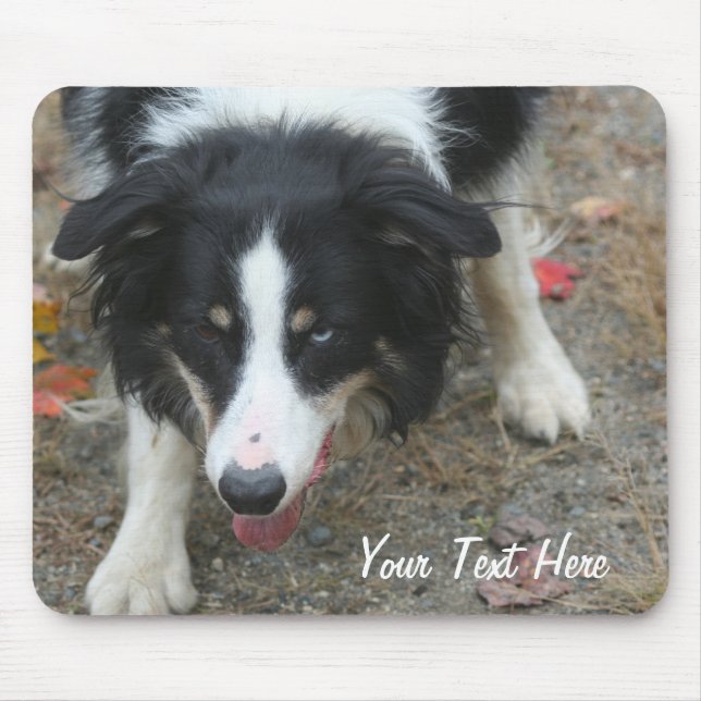 Tapis De Souris Border Collie Stare Dog Mousepad (Devant)