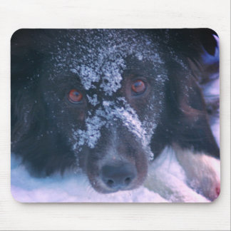 Tapis De Souris Bordure à visage neigeux Collie Chien mignon