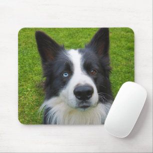 Tapis De Souris Bordure Collie