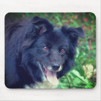 Tapis De Souris Bordure Collie souriant