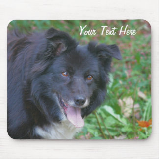 Tapis De Souris Bordure Collie souriant Chien coupé Mousepad