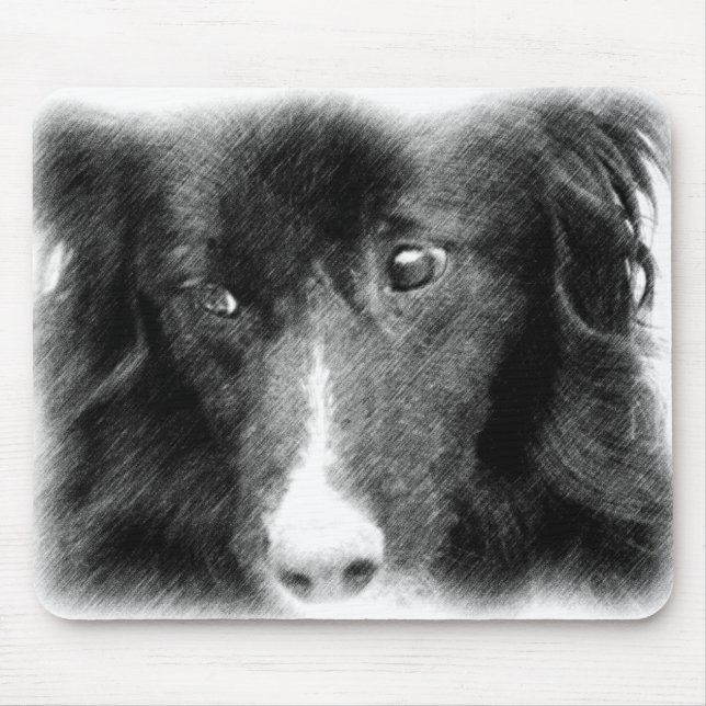 Tapis De Souris Bordure noire Collie Art animal (Devant)