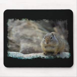 Tapis De Souris Bordure noire d'écureuil de sol super mignonne