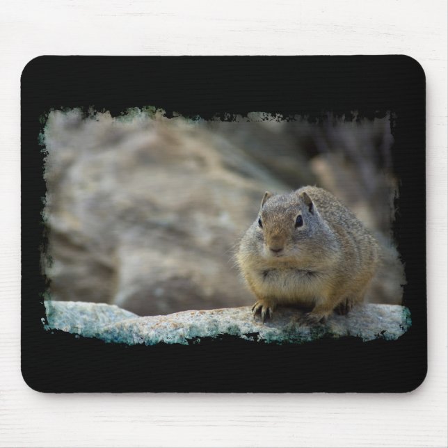 Tapis De Souris Bordure noire d'écureuil de sol super mignonne (Devant)