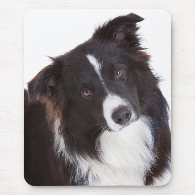 Tapis De Souris Bordure noire et blanche Collie Chien coquelicot M (Devant)