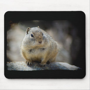 Tapis De Souris Bordure noire mignonne de la souris d'écureuil au