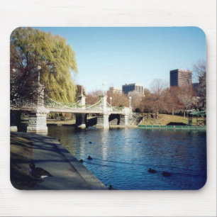 Tapis De Souris boston commun