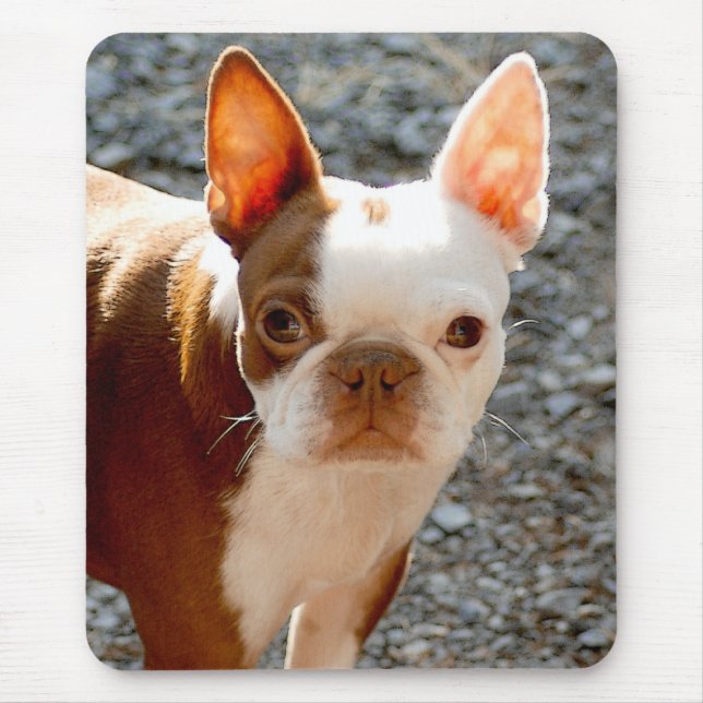 Tapis De Souris Boston Terrier (Devant)