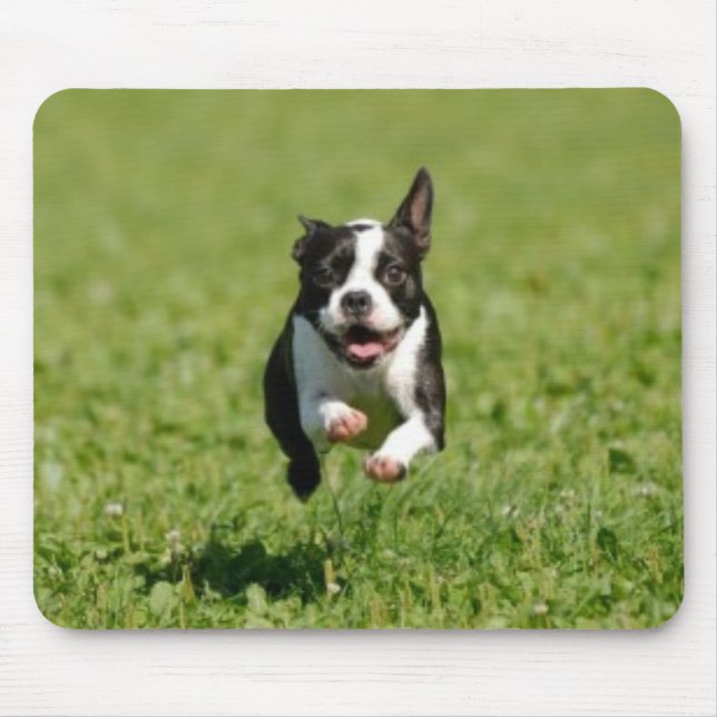 Tapis De Souris Boston Terrier courant Mousepad (Devant)