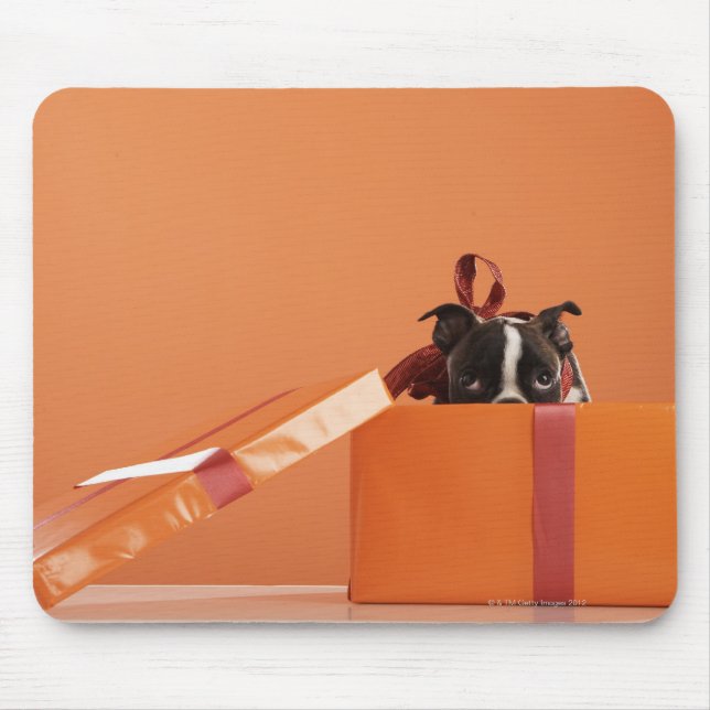 Tapis De Souris Boston terrier puppy in venin box (Devant)