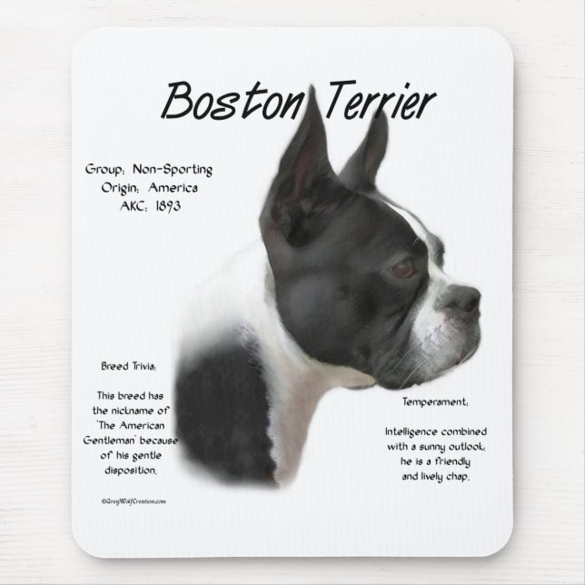 Tapis De Souris Boston Terrier rencontre la race (Devant)