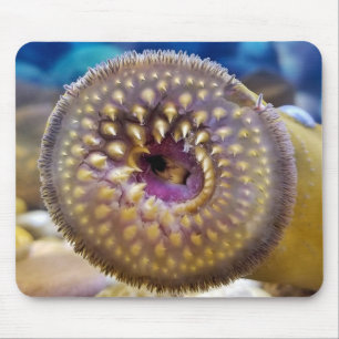 Tapis De Souris Bouche de lamproie marine