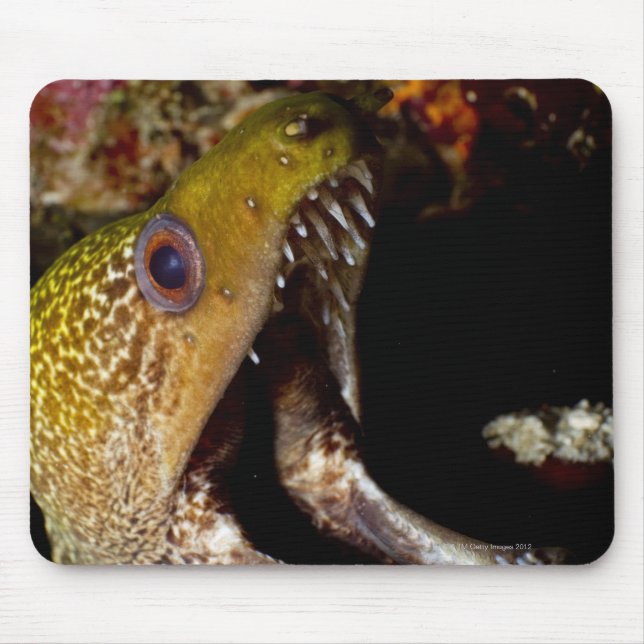 Tapis De Souris Bouche d'un Yellowedge (Devant)