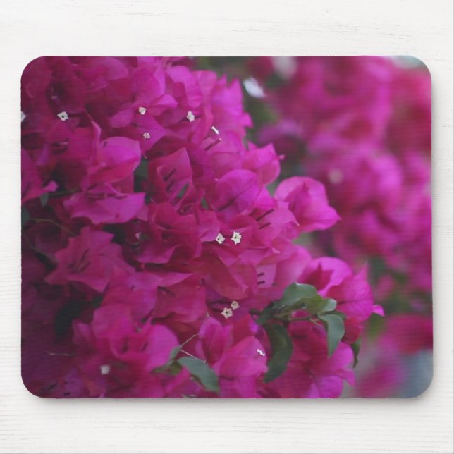 Tapis De Souris bougainvillier (Devant)