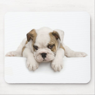 Tapis De Souris Bouledogue anglais