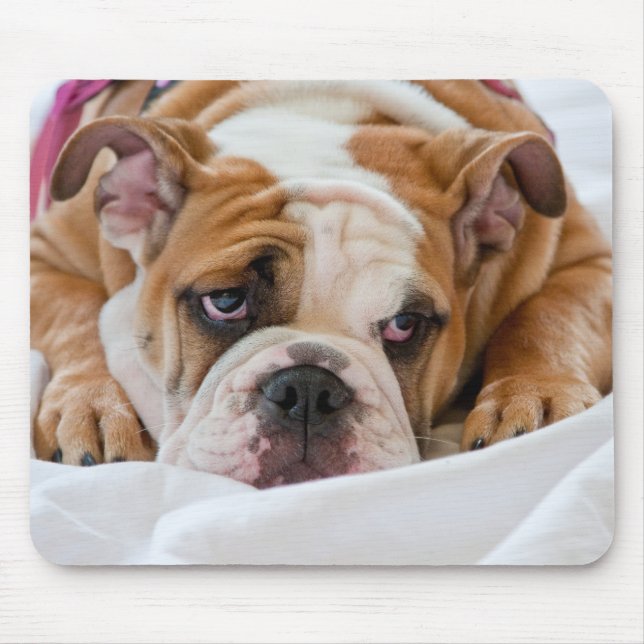 Tapis De Souris Bouledogue anglais (Devant)