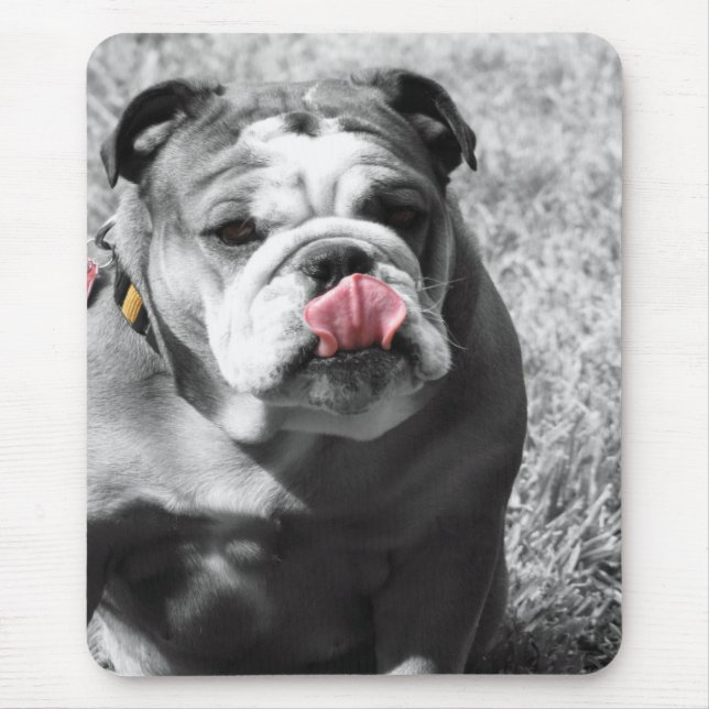 Tapis De Souris bouledogue anglais (Devant)