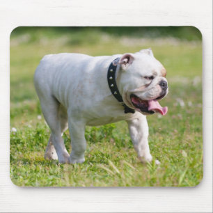 Tapis De Souris Bouledogue anglais
