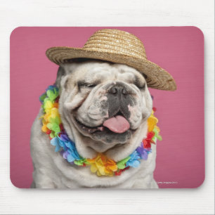 Tapis De Souris Bouledogue anglais (18 mois) portant une paille