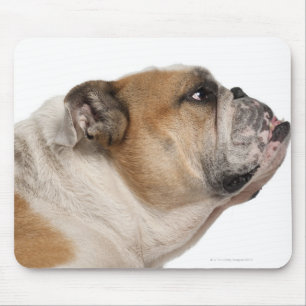 Tapis De Souris Bouledogue anglais (6 années)