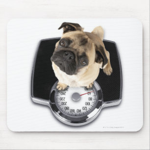 Tapis De Souris Bouledogue français sur des échelles regardant