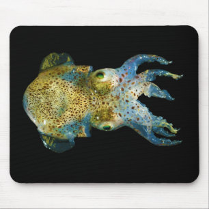 Tapis De Souris Boulette Sepiola tronqué Atlantica de queue