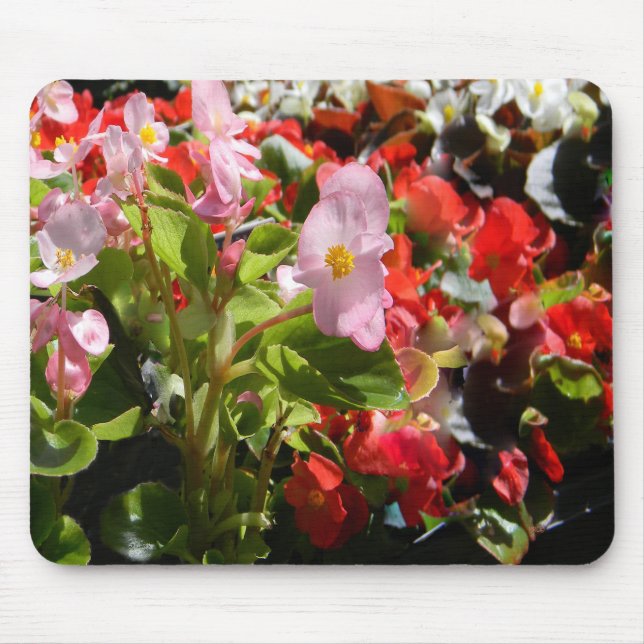 Tapis De Souris Bouquet de Begonias... (Devant)