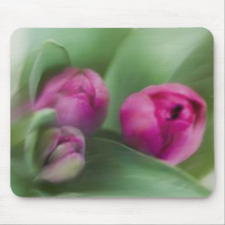 Tapis De Souris Bouquet de tulipe
