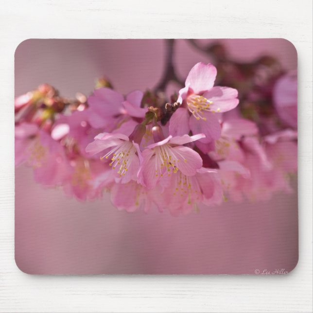 Tapis De Souris Bouquet délicat de fleurs de cerisier Sakura rose (Devant)