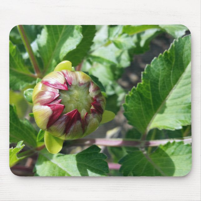 Tapis De Souris bourgeon d'automne (Devant)