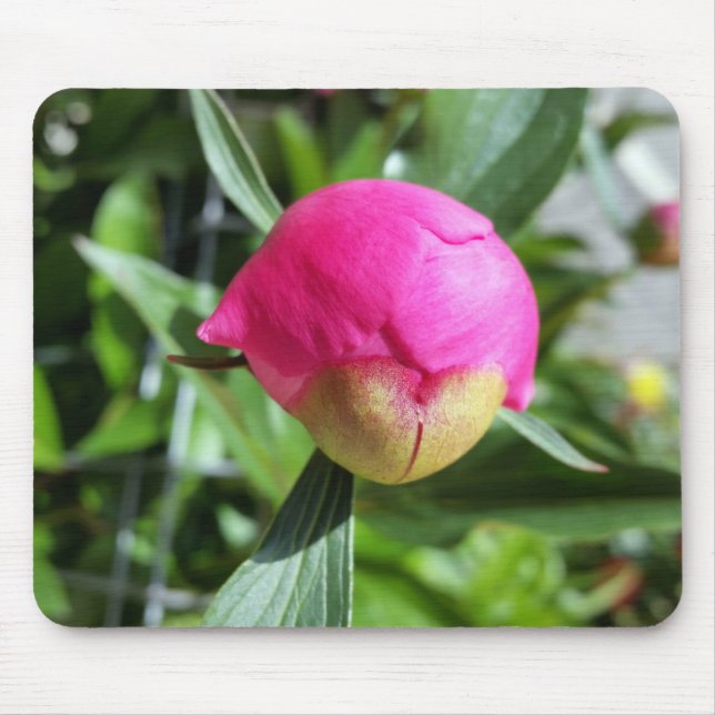 Tapis De Souris bourgeon rose profond (Devant)